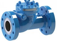 GWC Pipeline Gate and Swing Check Valves
